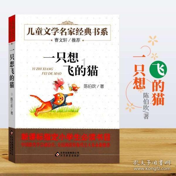 小熊猫足球冒险